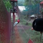 phoca_thumb_m_vp 2.den 239 Fotogalerie